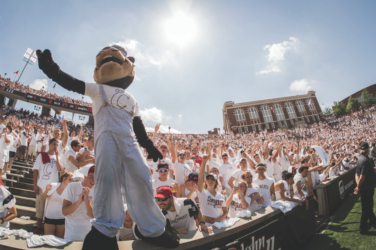 The Bearcat stands among fans to get the cheering and roaring going at the UC vs. Purdue game at Nippert Stadium on Saturday August 31, 2013. (The News Record/Phil Didion).
